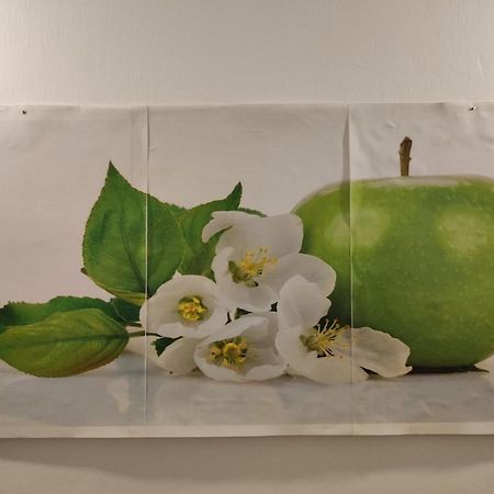 팔레르모 Mela Verde 빌라 외부 사진